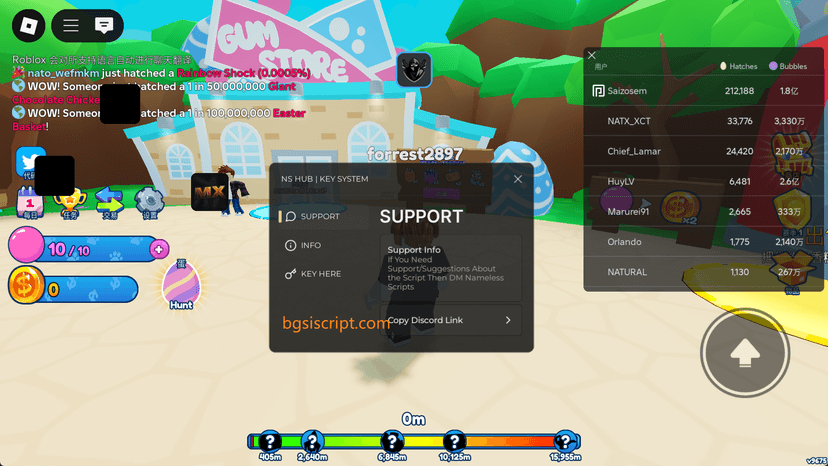NS Hub Script - Need Key BGSI Script show 1